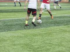 绝密攻略,大乐透,期独家软件,山东体彩,山东体彩网,山东体彩网官网,体育彩票,体彩大乐透,竞彩足球,体彩公益