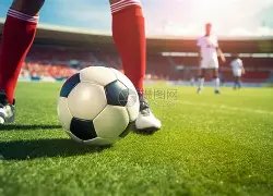 双色球秘籍,期必看,龙头凤尾绝,山东体彩,山东体彩网,山东体彩网官网,体育彩票,体彩大乐透,竞彩足球,体彩公益