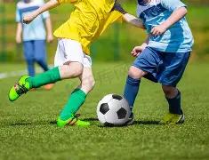 土豹子,福彩,期神准追踪,山东体彩,山东体彩网,山东体彩网官网,体育彩票,体彩大乐透,竞彩足球,体彩公益