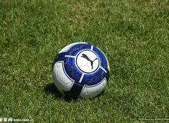 双色球幸运,秘籍,年首期双色,山东体彩,山东体彩网,山东体彩网官网,体育彩票,体彩大乐透,竞彩足球,体彩公益