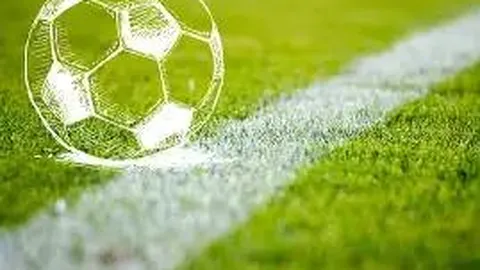 【蛇年福运来袭】周全福双色球第25141期红球独家预测，彩界高手助力，轻松摘得头奖喜讯！