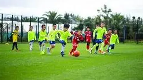 【彩界巅峰预测】双色球25141期独家精选：揭秘3枚必中红球——01、09、31！