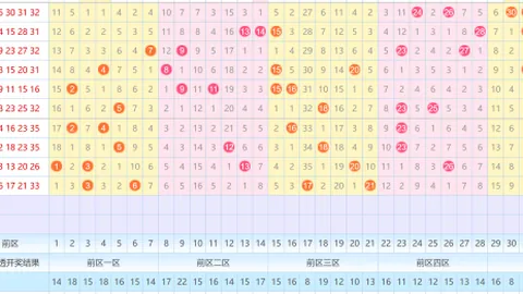 【勇闯彩市】揭秘体彩大乐透26期010期：前区号码胆码精选：04、06、14、16、24，中奖秘籍大公开！