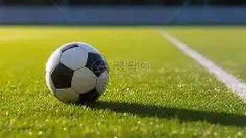 【狂风骤雨中揭秘】大乐透第014期独家预测：前12后3精准推荐，单注攻略大放送，速来一探究竟！